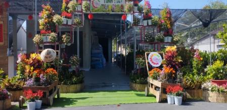 Phường Tân Quy Đông: tham gia hội thi trang trí Cổng hoa, Đường hoa, vườn hoa công sở đẹp hưởng ứng Festival Hoa - Kiểng Sa Đéc lần thứ I - năm 2023
