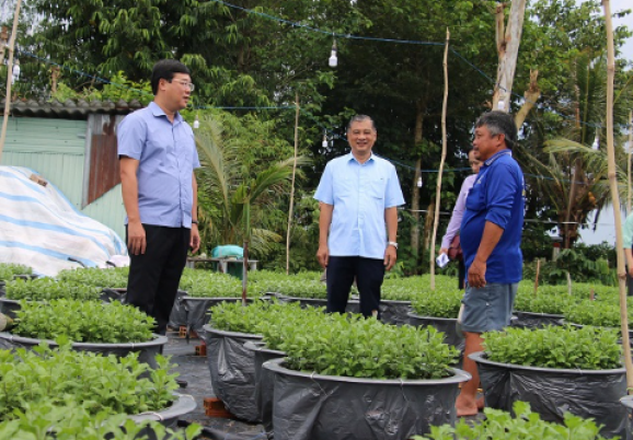 Bí thư Tỉnh ủy Lê Quốc Phong thăm nông dân trồng hoa, kiểng Tết